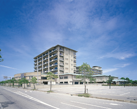 まつや千千のイメージ